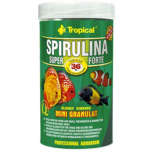 Tropical Super Spirulina Forte Mini-Granulatfutter mit 36% Spirulina (Platensis) Anteil, 1er Pack (1 x 250 ml) von Tropical