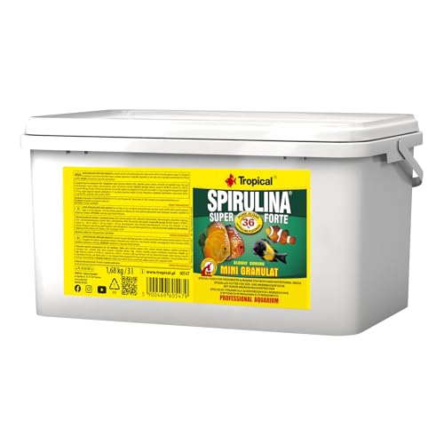 Tropical Super Spirulina Forte Mini-Granulatfutter mit 36% Spirulina (Platensis) Anteil, 1er Pack (1 x 3 l) von Tropical