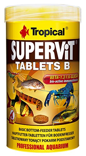 Tropical Supervit Tablets B Hauptfutter Bodentabletten, 1er Pack (1 x 250 ml) von Yireal