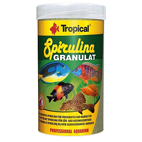 Tropical Tadeusz Ogrodnik Cichlid Red & Green Stick M – 110 g von Tropical