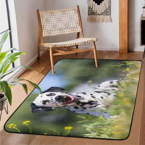 TropicalLife Dalmatiner Hundebereich Teppich 152 x 99 cm, Hundebereich Teppiche für Wohnzimmer Schlafzimmer Küche Esszimmer Indoor Outdoor Große rutschfeste Bodenmatte Teppich von TropicalLife