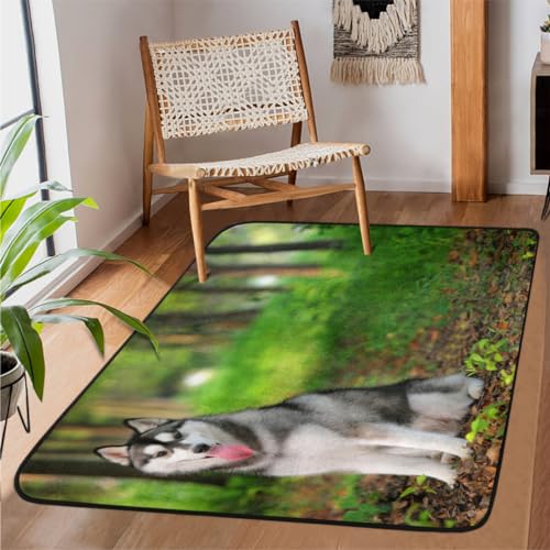 TropicalLife Dog Hatcher Area Rug Carpet 152 x 99 cm, Dog Dog Area Rugs for Living Room Bedroom Kitchen Dining Room Indoor Outdoor Large Non-Slip Floor Mat Rug von TropicalLife