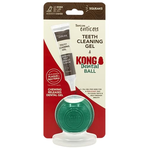 TROPICLEAN/Kong - Dental Ball L +25kg von Tropiclean