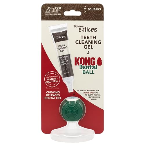 TropiClean Enticers Kong Zahnball-Set für kleine Hunde | Zahnreinigungsgel | geräuchertes Rinderbrustgeschmack | 28 ml von Tropiclean