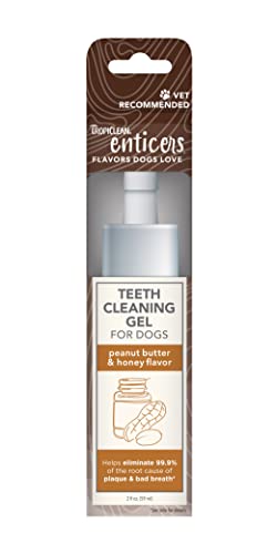 TropiClean Enticers Zahnreinigungsgel für Hunde – Erdnussbutter & Honiggeschmack, 60 ml – Zahngel – hilft gegen Plaque & Mundgeruch – Geschmack Hunde lieben – kein Bürsten erforderlich TropiClean Enticers Zahnreinigungsgel für Hunde – Erdnussbutter & Honiggeschmack, 60 ml – Zahngel – hilft gegen Plaque & Mundgeruch – Geschmack Hunde lieben – kein Bürsten erforderlich von Tropiclean