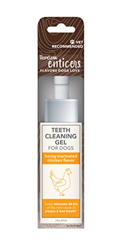 TropiClean Enticers Zahnreinigungsgel für Hunde – Honig Marinierter Huhngeschmack, 60 ml – Zahngel – hilft gegen Plaque und Mundgeruch – Geschmack Hunde lieben – kein Bürsten erforderlich TropiClean Enticers Zahnreinigungsgel für Hunde – Honig Marinierter Huhngeschmack, 60 ml – Zahngel – hilft gegen Plaque und Mundgeruch – Geschmack Hunde lieben – kein Bürsten erforderlich von Tropiclean