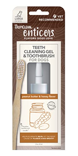 TropiClean Enticers Zahnreinigungsgel & Zahnbürste für große Hunde - Erdnussbutter & Honig, 59ml - Beseitigt die Ursache von schlechtem Atem und Zahnbelag - Bambusbürste gegen Plaque TropiClean Enticers Zahnreinigungsgel & Zahnbürste für große Hunde - Erdnussbutter & Honig, 59ml - Beseitigt die Ursache von schlechtem Atem und Zahnbelag - Bambusbürste gegen Plaque von Tropiclean
