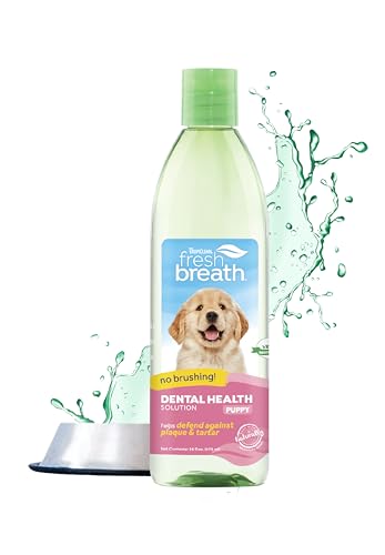 TropiClean Fresh Breath Welpenzahnreinigung - Zahnpflegelösung bei schlechtem Atem - Mundspülung als Zusatz zum Trinkwasser - Reinigt die Zähne, Für Welpen, 473ml TropiClean Fresh Breath Welpenzahnreinigung - Zahnpflegelösung bei schlechtem Atem - Mundspülung als Zusatz zum Trinkwasser - Reinigt die Zähne, Für Welpen, 473ml von Tropiclean