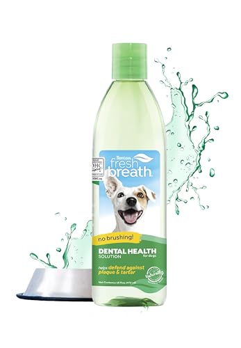 TropiClean Fresh Breath Hundezahnreinigung - Zahnpflegelösung gegen Mundgeruch - Mundwasser als Zusatz zum Trinkwasser Original, 473ml TropiClean Fresh Breath Hundezahnreinigung - Zahnpflegelösung gegen Mundgeruch - Mundwasser als Zusatz zum Trinkwasser Original, 473ml von Tropiclean