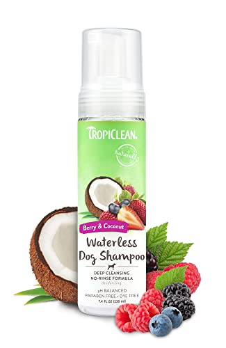 TropiClean Deep Cleaning Waterless Shampoo für Hunde, 218ml, hergestellt in den USA von Tropiclean