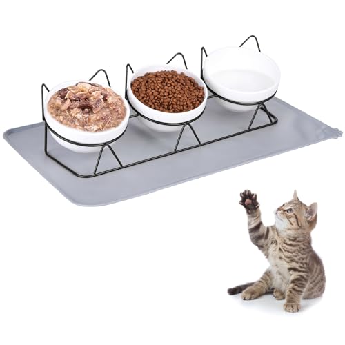 Trosetry Katzennäpfe aus Keramik, erhöhter Katzenfutternapf mit Haustierfuttermatte, erhöhter 15° geneigter Kätzchen-Trinknapf, goldfarbener Ständer für Futter und Wasser, Anti-Erbrechen für von Trosetry