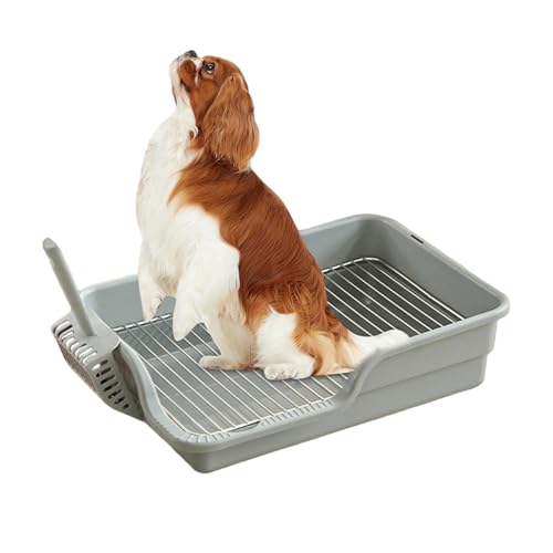 Hundetopfschale, Edelstahl -Mesh Welpentöpfchenschale mit Schutzwand & Schaufel, Halten Sie die Pfoten trockener Hundestrafschachtel für kein Leck, Verschüttung, Unfallschachtel Hundetopfschale, Edelstahl -Mesh Welpentöpfchenschale mit Schutzwand & Schaufel, Halten Sie die Pfoten trockener Hundestrafschachtel für kein Leck, Verschüttung, Unfallschachtel von Trrymbbe