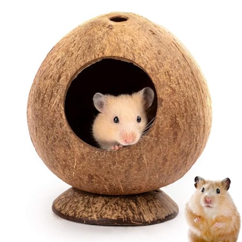 Trrymbbe Hamsterhaus 5.3x4, 7in Kokosnussförmiger Hamster-Hune mit Stabiler Basis und 2, 2-Zoll-Loch Natural atmungsaktiv von Trrymbbe