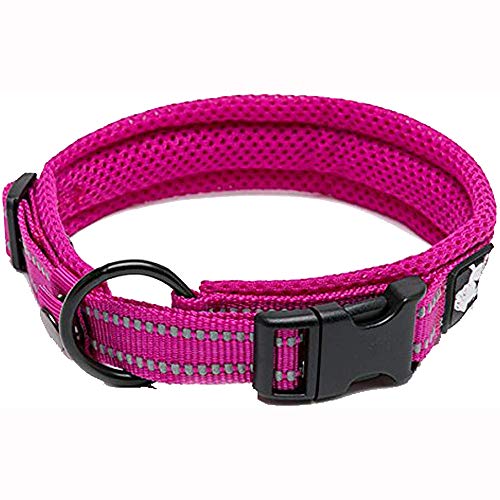 Hundehalsband, reflektierend, Premium-Duraflex-Schnalle, hochwertiges Nylon-Gurtband, kein Würgen, grundlegende Halsbänder, Truelove TLC5011 (Fushcia, M) von Truelove