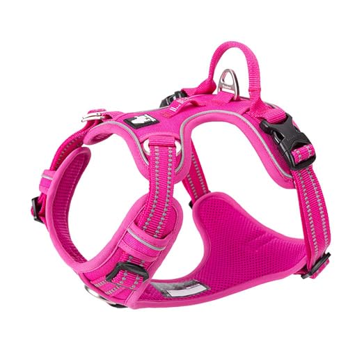 Truelove True Love Hundegeschirr, kein Ziehen, verstellbar, reflektierend, weiches Nylon, für kleine und große Haustiere, TLH56512 (S, Fuchsia) von Truelove