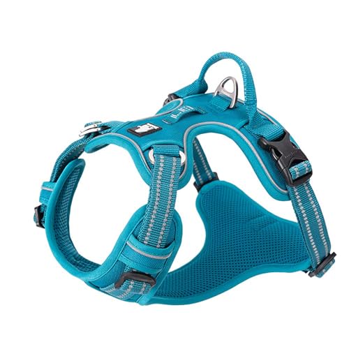 Truelove True Love Hundegeschirr, kein Ziehen, verstellbar, reflektierend, weiches Nylon, für kleine und große Haustiere, TLH56512 (S, Blau) von Truelove