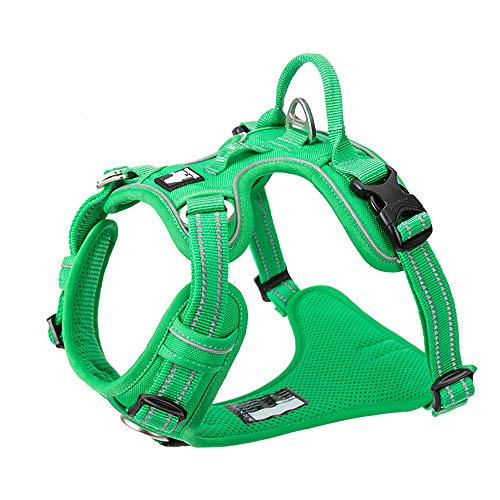 Truelove True Love Hundegeschirr, kein Ziehen, verstellbar, reflektierend, weiches Nylon, für kleine und große Haustiere, TLH56512 (XL, Grasgrün) von Truelove