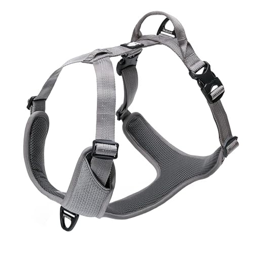 TRUE LOVE Hundegeschirr Outdoor Adventure II Reflektierende Weste mit 2 Leinenbefestigungen passende Leine und Halsband erhältlich TLH6071 von TRUE LOVE