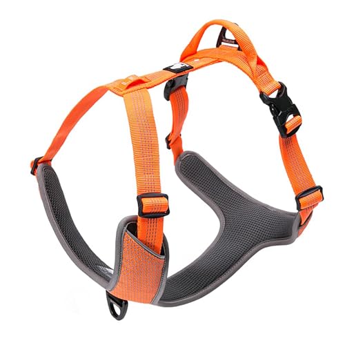 TRUE LOVE Hundegeschirr Outdoor Adventure II Reflektierende Weste mit 2 Leinenbefestigungen passende Leine und Halsband erhältlich TLH6071 von Truelove