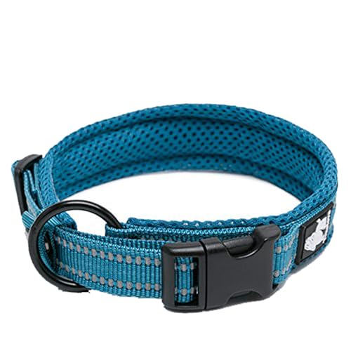 Hundehalsband, reflektierend, Premium-Duraflex-Schnalle, hochwertiges Nylon-Gurtband, kein Würgen, grundlegende Halsbänder, Truelove TLC5011 (blau, L) von Truelove