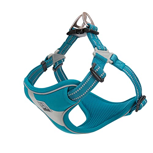 Hundegeschirr Reflektierende Sicherheitsweste für kleine mittelgroße Hunde TLH5991 (L, Blau) Hundegeschirr Reflektierende Sicherheitsweste für kleine mittelgroße Hunde TLH5991 (L, Blau) von Truelove