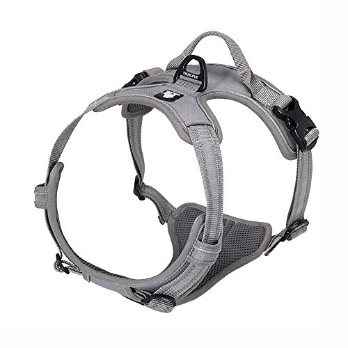 Truelove Hundegeschirr TLH5651, verhindert Zerren, reflektierende Nähte Sorgen für Sichtbarkeit in der Nacht, für Abenteuer im Freien(XS, Gray) Truelove Hundegeschirr TLH5651, verhindert Zerren, reflektierende Nähte Sorgen für Sichtbarkeit in der Nacht, für Abenteuer im Freien(XS, Gray) von Truelove