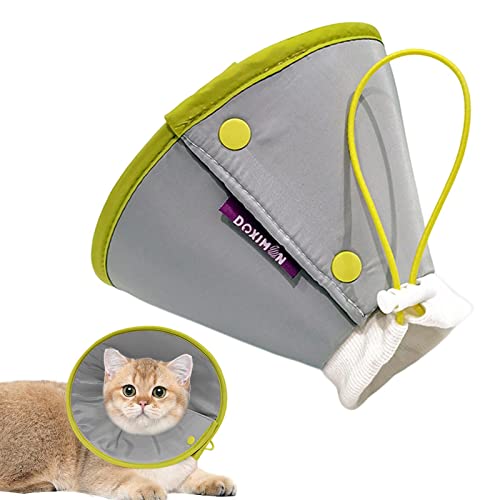 Truejoy Weiches Haustierhalsband, Kegel – stoppt das Lecken, E-Halsband für Genesung, Halskegel nach Operationen, elisabethanische Halsbänder für Kätzchen, kleine Hunde Truejoy Weiches Haustierhalsband, Kegel – stoppt das Lecken, E-Halsband für Genesung, Halskegel nach Operationen, elisabethanische Halsbänder für Kätzchen, kleine Hunde von Truejoy