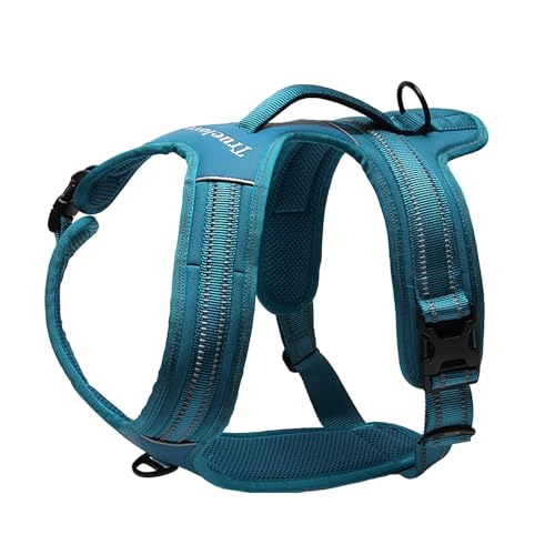 Truelove tlh5551 verhindert Zerren Hundegeschirr mit Griff Weich Gepolstert Pet Hundegeschirr Weste, reflektierendes Material, Strong Oxford Außenschicht für größere Hunde jetzt erhältlich, XS, blau Truelove tlh5551 verhindert Zerren Hundegeschirr mit Griff Weich Gepolstert Pet Hundegeschirr Weste, reflektierendes Material, Strong Oxford Außenschicht für größere Hunde jetzt erhältlich, XS, blau von Truelove