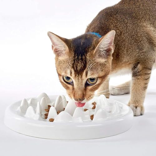 Fressnapf für Katzen und kleine Hunde aus Keramik, interaktives Tablett, um Angst zu vermeiden, für kleine, mittlere und große Haustiere von Trusttread