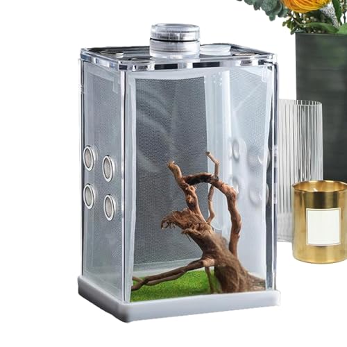 Terrarium Kit Reptilien Zuchtbox Springspinne Gehege Stick Ins-ect Gehege Acryl Reptilien Transportbox Rechteck Schwarz Kleine Insekten Terrarium für Spinne Skorpion Mantis Terrarium Kit Reptilien Zuchtbox Springspinne Gehege Stick Ins-ect Gehege Acryl Reptilien Transportbox Rechteck Schwarz Kleine Insekten Terrarium für Spinne Skorpion Mantis von Trveqhk