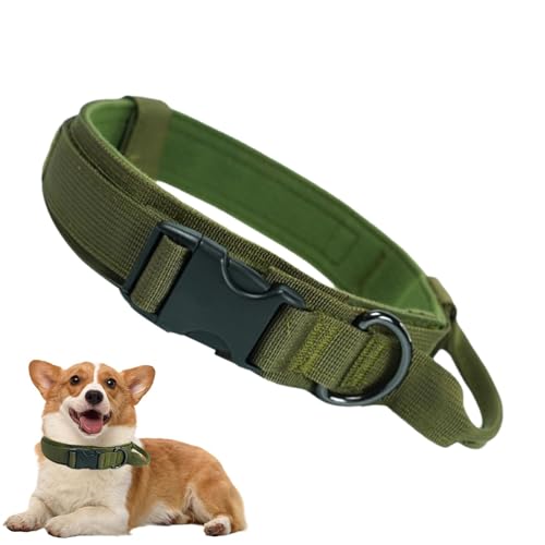 Trveqhk Dickes Hundehalsband, Nylon, verstellbar, mit Metallverschluss, gepolstert, strapazierfähig, Sicherheits-Halsband für Training, Patrouille, Wandern Trveqhk Dickes Hundehalsband, Nylon, verstellbar, mit Metallverschluss, gepolstert, strapazierfähig, Sicherheits-Halsband für Training, Patrouille, Wandern von Trveqhk