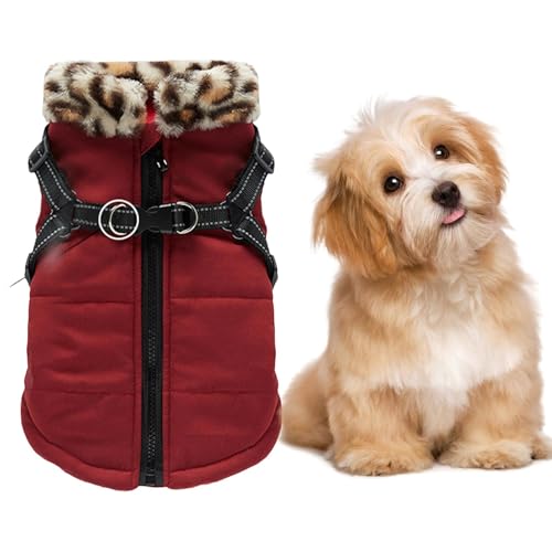 Trveqhk Winterjacke – Reflektierender Winterkostüm, Weste mit integriertem Geschirr für kleine und mittelgroße und große Haustiere von Trveqhk