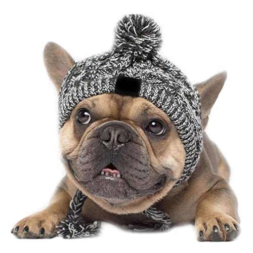 Crochet Braid Hüte für Bulldogge mit Ohrloch Haustier Kostüm Stitch Hut Kappe für Weihnachten Geburtstag Party Grau M von Tsangbaby