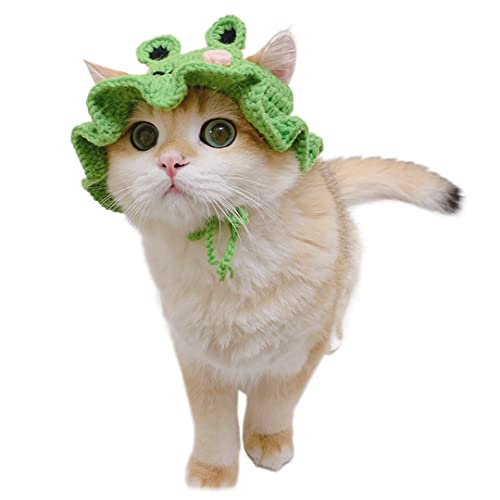Haustier-Kopfbedeckung, Katzen-Strick, Sonnenhut, Cosplay-Mütze, niedliche Kopfbedeckung mit Ohrloch für Foto-Dekoration, Frosch M (geeignet für erwachsene Katzen) von Tsangbaby