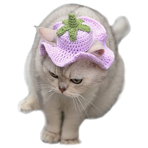 Haustier-Kopfbedeckung, Katzen-Strick, Sonnenhut, Cosplay-Mütze, niedliche Kopfbedeckung mit Ohrloch für Fotodekoration, Aubergine, M (geeignet für erwachsene Katzen) von Tsangbaby