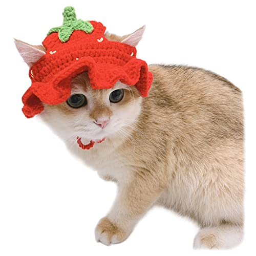 Haustier-Kopfbedeckung, Katzen-Strick, Sonnenhut, Cosplay-Mütze, niedliche Kopfbedeckung mit Ohrloch für Fotodekoration, Erdbeere M (geeignet für erwachsene Katzen) von Tsangbaby