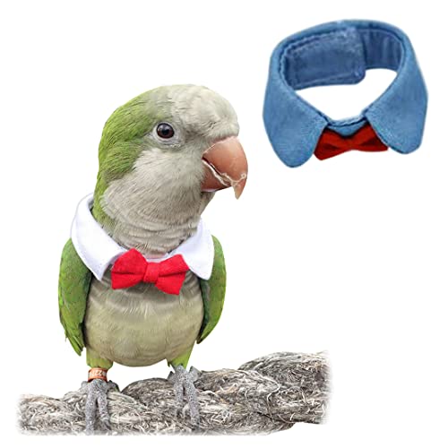 Tsangbaby Süßes Haustier-Halsband für Papageien, Vogel, verstellbare Fliege, lustige kleine Tier-Kleidung für Party, Cosplay, Foto-Requisite, Blau, L von Tsangbaby