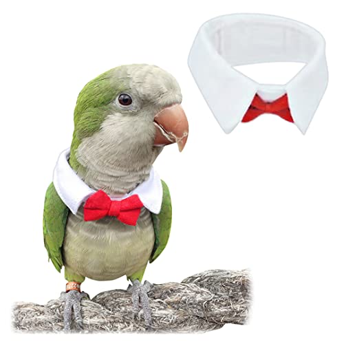 Tsangbaby Süßes Haustier-Halsband für Papageien, Vogel, verstellbare Fliege, lustige kleine Tier-Kleidung für Party, Cosplay, Foto-Requisite, weiß, M von Tsangbaby