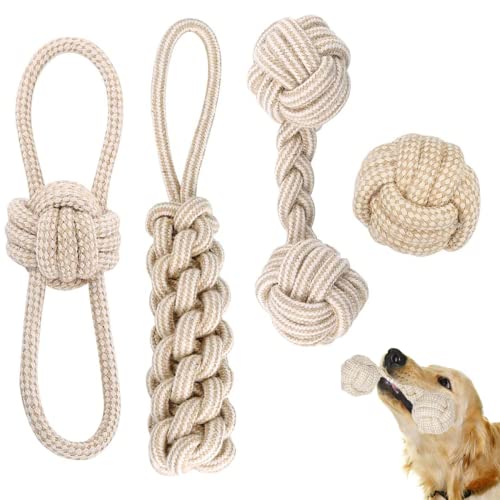 Tsathoggua 4 Stück Kauen Hunde Spielsachen, Hundespielzeug Seil, Natürlicher Baumwolle Interaktives Kauspielzeug für Kleine/Mittlere Hunde Zahnreinigung, Welpen Spielzeug für Hunde Zahnpflege Tsathoggua 4 Stück Kauen Hunde Spielsachen, Hundespielzeug Seil, Natürlicher Baumwolle Interaktives Kauspielzeug für Kleine/Mittlere Hunde Zahnreinigung, Welpen Spielzeug für Hunde Zahnpflege von Tsathoggua