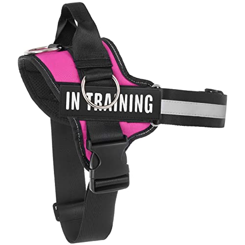 Essential Dog Harness, No Pull Pet Harness with 3 Side Rings for Leash Placement, No Choke, Reflective, Adjustable Pet Vest, Easy On-Off & Improved Control Handle, Training, Walking, Running Essential Dog Harness, No Pull Pet Harness with 3 Side Rings for Leash Placement, No Choke, Reflective, Adjustable Pet Vest, Easy On-Off & Improved Control Handle, Training, Walking, Running von Tsikavo