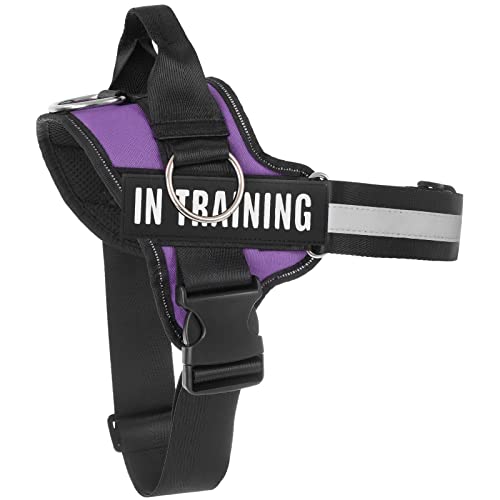 Essential Dog Harness, No Pull Pet Harness with 3 Side Rings for Leash Placement, No Choke, Reflective, Adjustable Pet Vest, Easy On-Off & Improved Control Handle, Training, Walking, Running Essential Dog Harness, No Pull Pet Harness with 3 Side Rings for Leash Placement, No Choke, Reflective, Adjustable Pet Vest, Easy On-Off & Improved Control Handle, Training, Walking, Running von Tsikavo