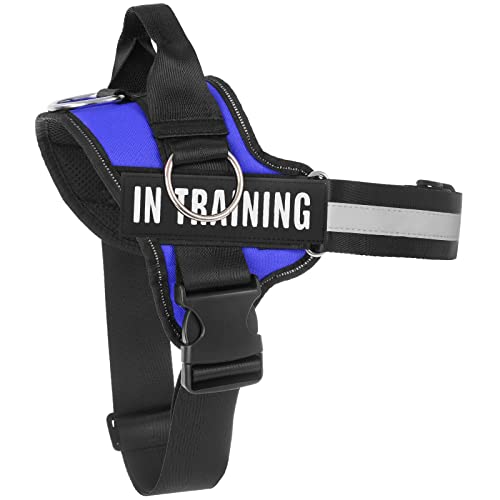 Essential Hundegeschirr, kein Ziehen, Haustiergeschirr mit 3 Seitenringen für die Platzierung der Leine, kein Würgen, reflektierend, verstellbare Haustierweste, Laufen, Blau Essential Hundegeschirr, kein Ziehen, Haustiergeschirr mit 3 Seitenringen für die Platzierung der Leine, kein Würgen, reflektierend, verstellbare Haustierweste, Laufen, Blau von Tsikavo