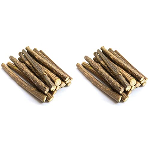 TsoLay 40 Stück Natürliche Silberrebe Sticks für Katzen Minzen Sticks Matatabi Kauen Sticks Zähne Molar Kauen Spielzeuge für Die Reinigung Von Katzen Zähnen TsoLay 40 Stück Natürliche Silberrebe Sticks für Katzen Minzen Sticks Matatabi Kauen Sticks Zähne Molar Kauen Spielzeuge für Die Reinigung Von Katzen Zähnen von TsoLay