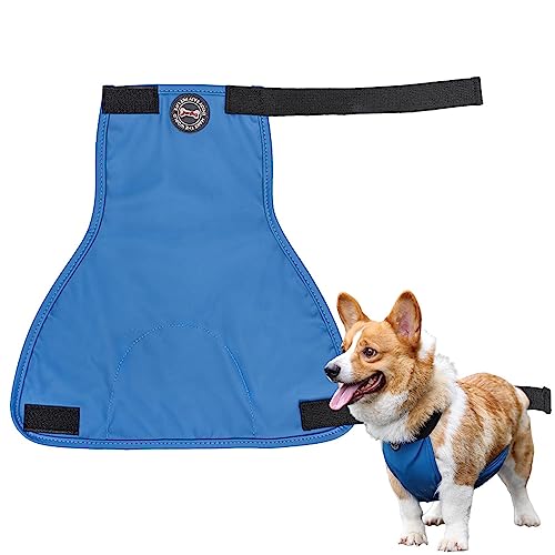 Hunde-Bauchwickel - Waschbare Welpenwindeln,Männlicher Hund wickelt Pinkelwindel mit weichem Leder, elastischem Band und reserviertem Urinal für englische Bulldogge, Basset, Dackel und Corgi Tsuchiya Hunde-Bauchwickel - Waschbare Welpenwindeln,Männlicher Hund wickelt Pinkelwindel mit weichem Leder, elastischem Band und reserviertem Urinal für englische Bulldogge, Basset, Dackel und Corgi Tsuchiya von Tsuchiya