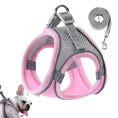 Hundewestengeschirre,Reflektierende Hundeweste | Haustierbekleidung für nächtliche Spaziergänge, atmungsaktives Hundegeschirr für jedes Wetter, Hundesicherheitsweste für kleine und Tsuchiya von Tsuchiya