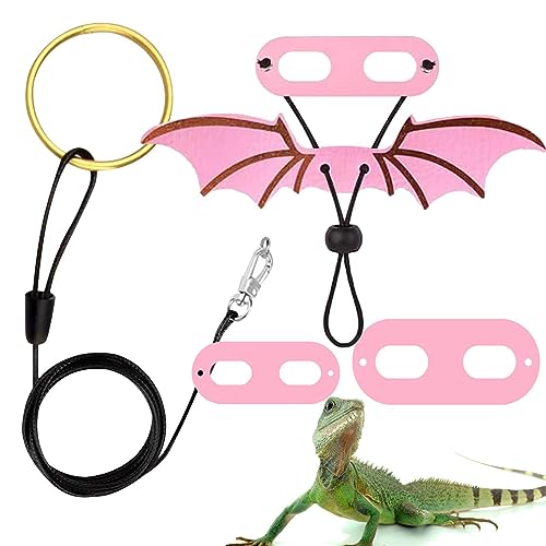 Reptilienleine, Reptiliengeschirr und Leine, Verstellbare Reptilienleine aus Leder in 3 Größen, Outdoor-Geschirr mit Fledermausflügeln für Reptilien und Amphibien Tsuchiya Reptilienleine, Reptiliengeschirr und Leine, Verstellbare Reptilienleine aus Leder in 3 Größen, Outdoor-Geschirr mit Fledermausflügeln für Reptilien und Amphibien Tsuchiya von Tsuchiya