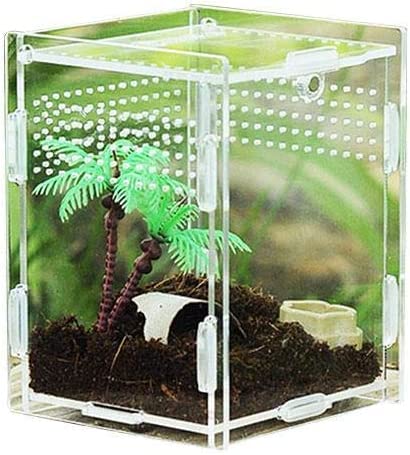 Magnetisches Terrarium für Reptilien, Acryl, hochtransparent, für Krabbeln, Reptilien, Habitat, Anti-Flucht-Design, Amphibien, Haustierzucht, Reptilien, Eidechse, Inkubationsbox (7 x 8 x 10 cm) von Tsukitoy