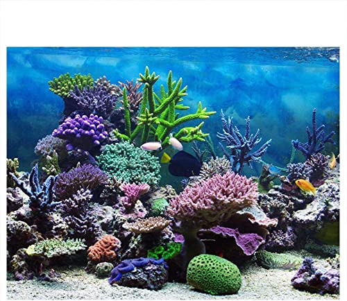 Tsukitoy Aquarium-Hintergrund, Aquarium-Dekorationen, Bilder, PVC-Klebeposter, Aquarium-Hintergrund, Unterwasserkoralle, Riff, Dekor-Aufkleber (61 x 41 cm) von Tsukitoy