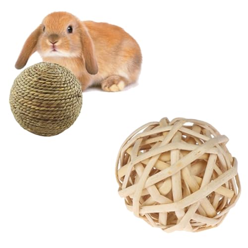 Ttiy Haustier-Kauspielzeug, tragbarer Grasball, handgewebt, Haustierzähne, Schleifspielzeug, geeignet für Kaninchen, Hamster, Haustiere, 2 Stück Ttiy Haustier-Kauspielzeug, tragbarer Grasball, handgewebt, Haustierzähne, Schleifspielzeug, geeignet für Kaninchen, Hamster, Haustiere, 2 Stück von Ttiy