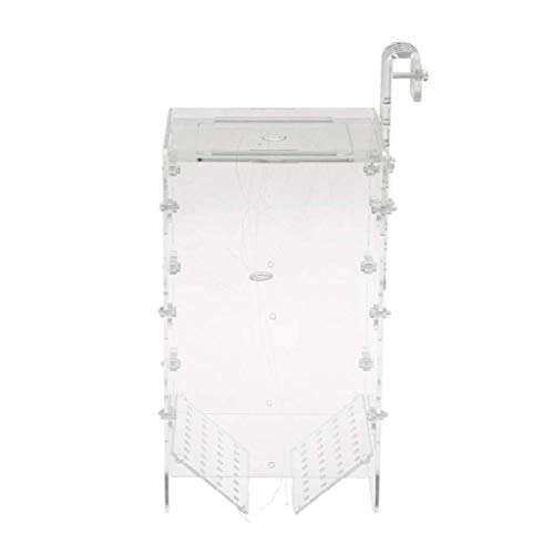 Tubayia 3-in-1 Aquarium Acryl Fischerei Box Fische Garnelen Isolation Box Zuchttank Fischfalle für Aquarien Tubayia 3-in-1 Aquarium Acryl Fischerei Box Fische Garnelen Isolation Box Zuchttank Fischfalle für Aquarien von Tubayia